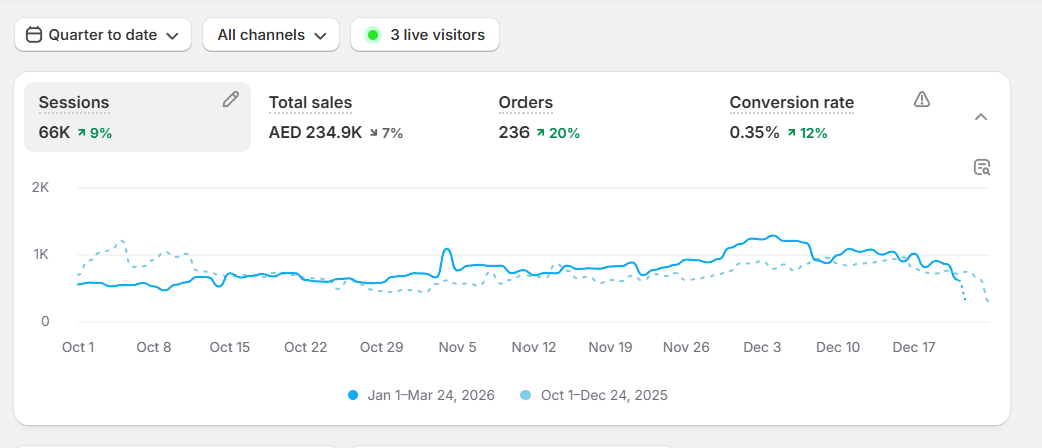 Raw & Rugged Campaign Performance Dashboard